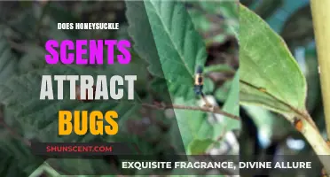 Does Honeysuckle Scent Attract Bugs? Unveiling the Truth Behind the Fragrance