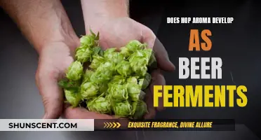 How Beer Fermentation Enhances Hop Aroma