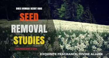 Human Scent Influence: Biasing Seed Removal Study Outcomes?