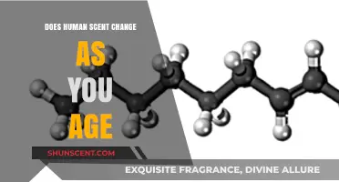 Aging Aromas: How Human Scent Evolves Over Time