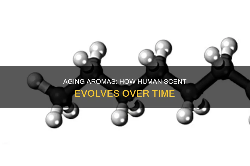 does human scent change as you age