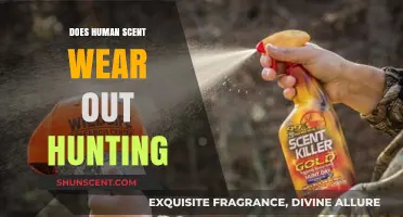 Does Human Scent Deter Hunting Success? Unraveling the Myth