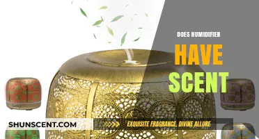 Do Humidifiers Have Scents? Exploring Aromatic Mist Possibilities