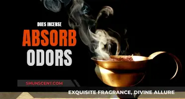 Incense and Odor Absorption: What's the Science?