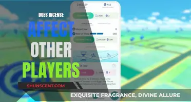 Incense and Gaming: Impact on Fellow Players?