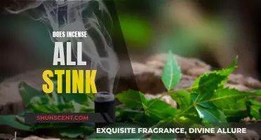 Incense and Its Lingering Fragrance: A Complex Aroma
