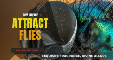 Incense and Flies: An Unlikely Attraction
