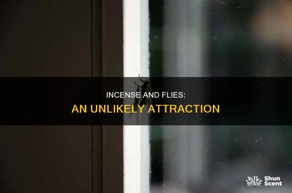 does incense attract flies