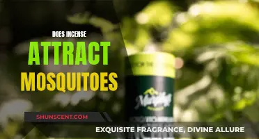 Incense and Mosquitoes: A Fragrant Attraction?