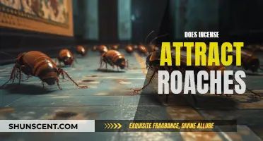 Incense and Roaches: An Unlikely Attraction Explained