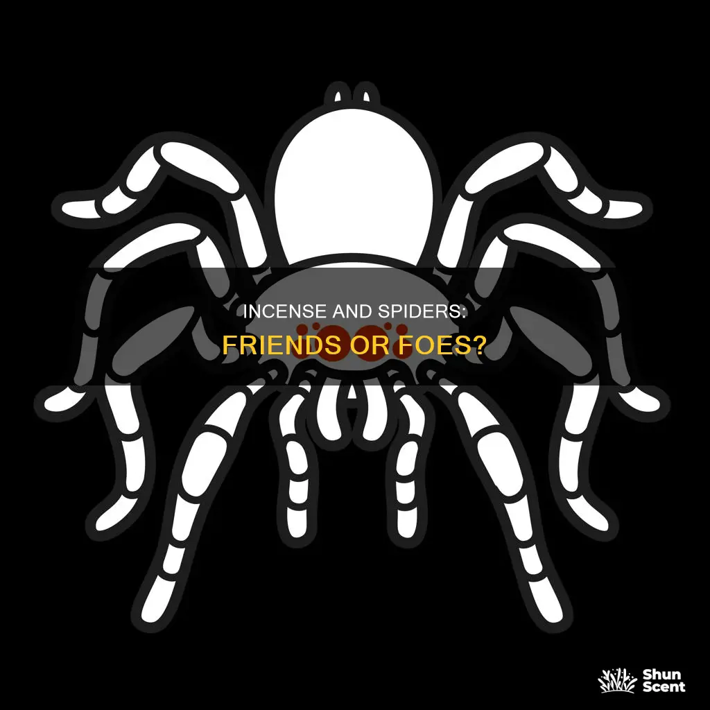does incense attract spiders