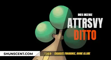 Incense and Dittos: The Scent Attraction Theory Explained