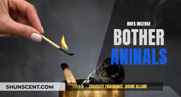 Incense and Animals: A Fragrant Danger?