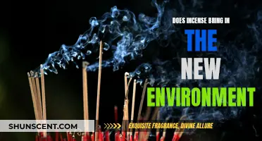 Incense and the Power to Transform Spaces