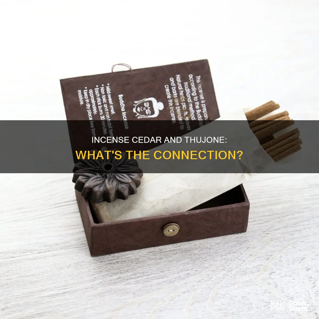 does incense cedar have thujone