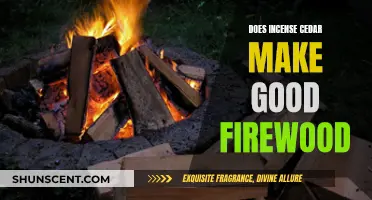 Incense Cedar Firewood: Good Choice or Avoid?