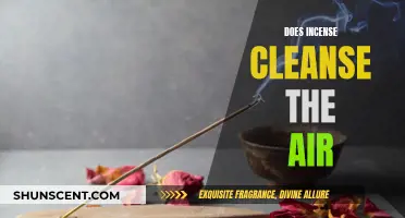 Incense and Air Purification: Does It Work?