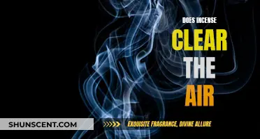 Incense and Air Purification: Effective or Just Smoke?