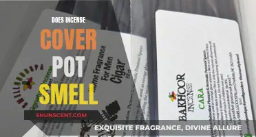 Incense and Pot: Covering the Smell?