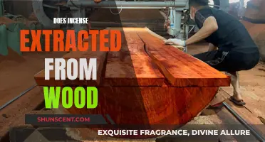 Incense and Wood: The Ancient Art of Extraction