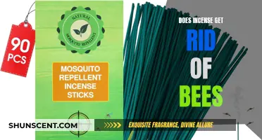 Incense and Bees: A Natural Repellent or Myth?