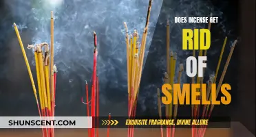 Incense and Odor Removal: An Ancient Solution