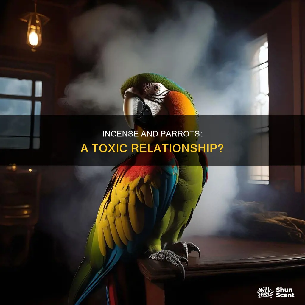 does incense harm parrots