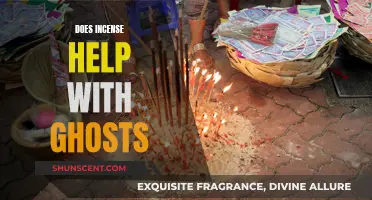 Incense and Ghosts: A Spiritual Cleansing Solution?