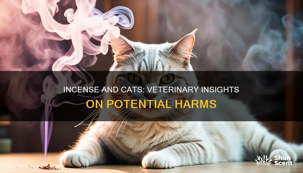 does incense hurt cats vetrinary