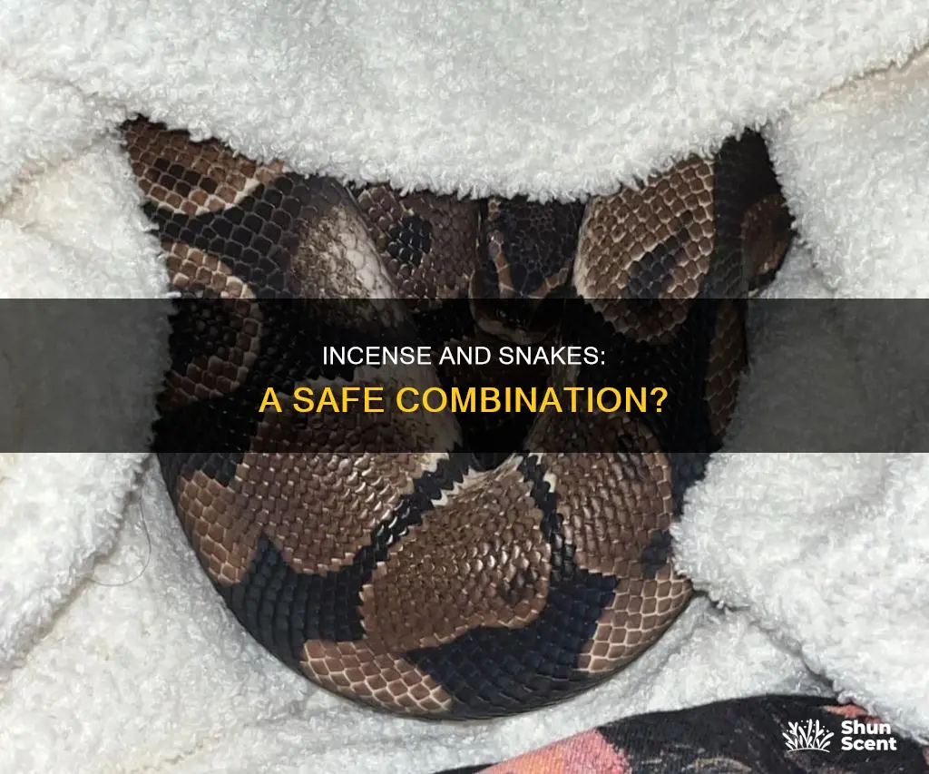 does incense hurt snakes