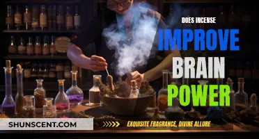 Incense and Brain Power: Exploring the Cognitive Benefits
