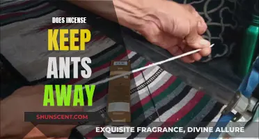 Incense and Ants: A Natural Repellent?