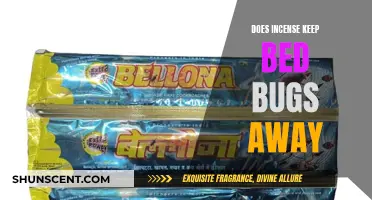 Incense as Bed Bug Repellent: Effective or Myth?
