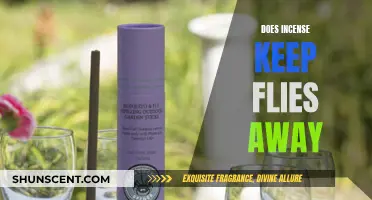 Incense as a Natural Fly Repellent: Does it Work?