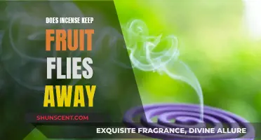Incense as a Fruit Fly Repellent: Does it Work?