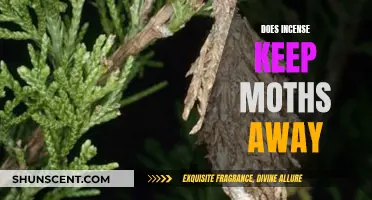 Incense as a Natural Moth Repellent: Does it Work?
