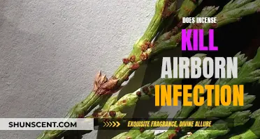 Incense and Airborne Infections: A Cure or Just Smoke?