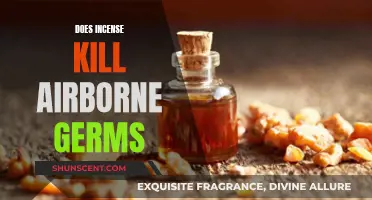 Incense and Airborne Germs: Effective or Just Smoke?