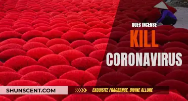 Incense and Coronavirus: Can Incense Smoke Kill COVID-19?