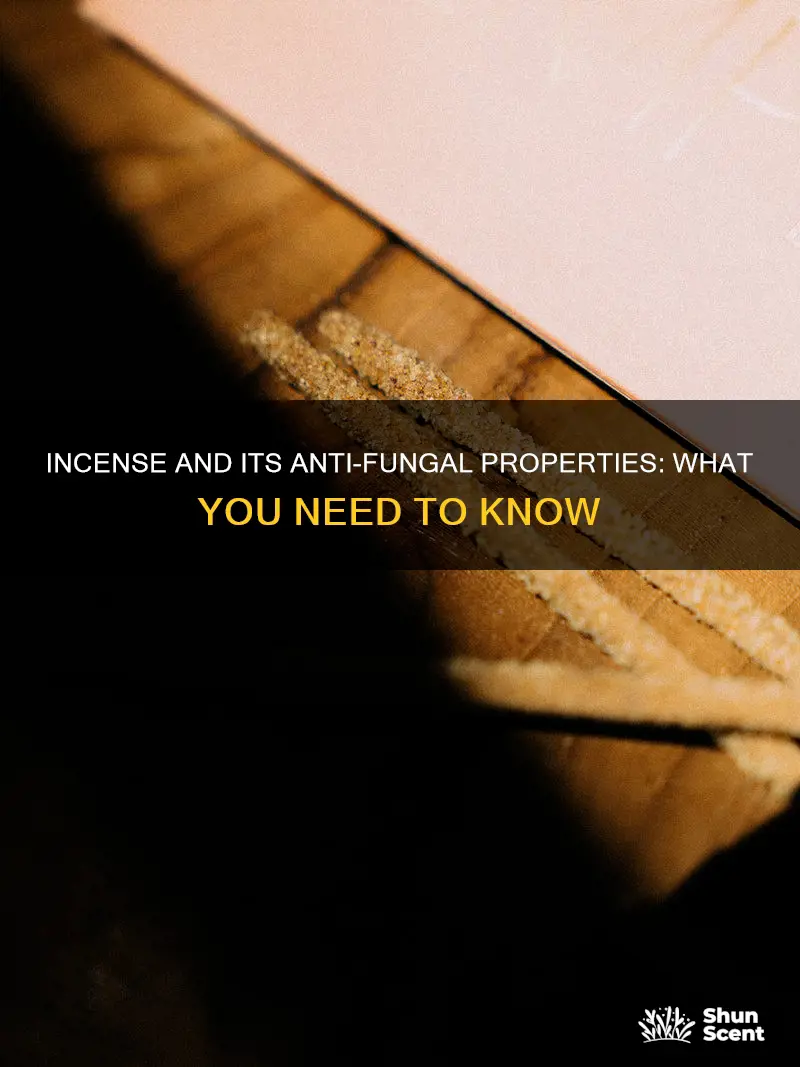 does incense kill fungus