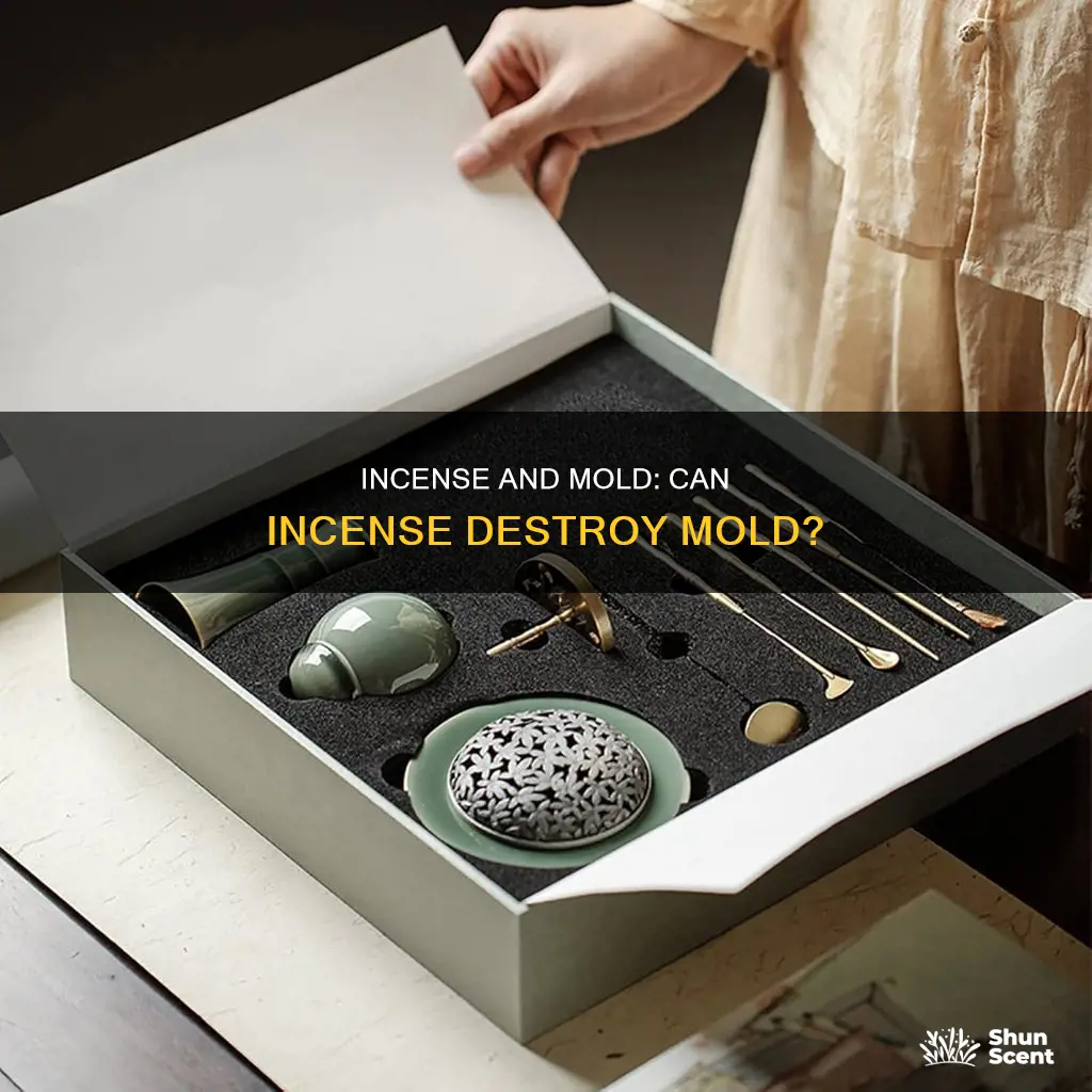 does incense kill mold