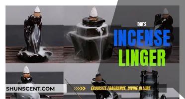 Incense: Lingering Fragrance or Fleeting Pleasure?