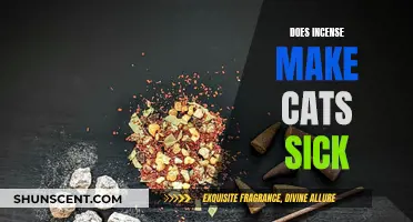 Incense and Cats: A Toxic Relationship?