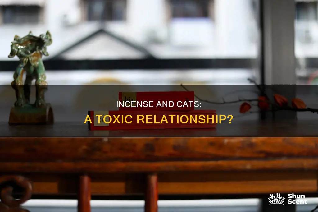 does incense make cats sick