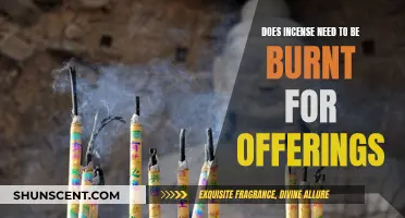 Incense Burning: Necessary for Offerings or Not?