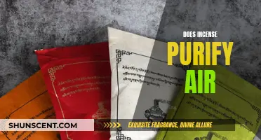 Incense and Air Purification: Does It Work?