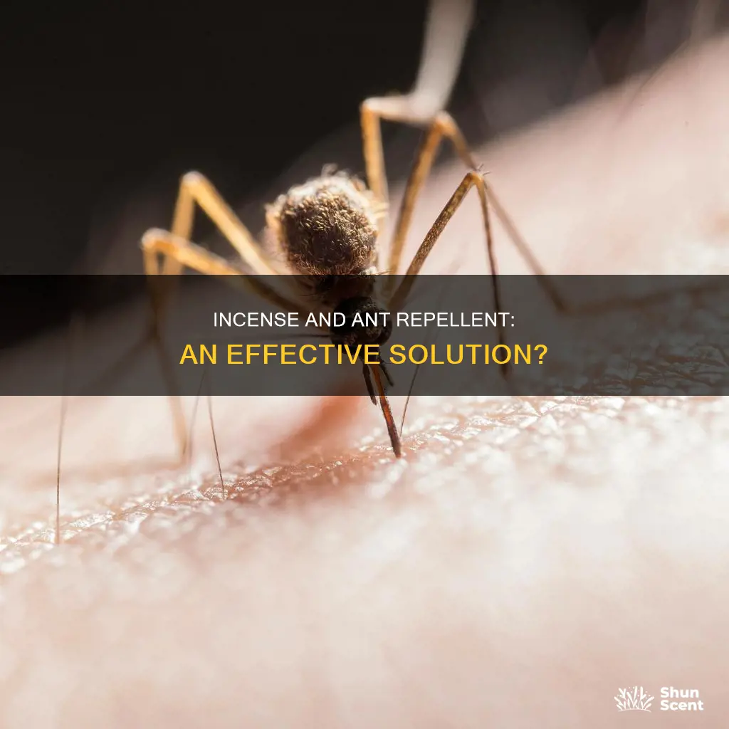 does incense repel ants