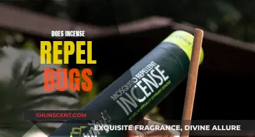Incense as a Natural Bug Repellent: Does It Work?