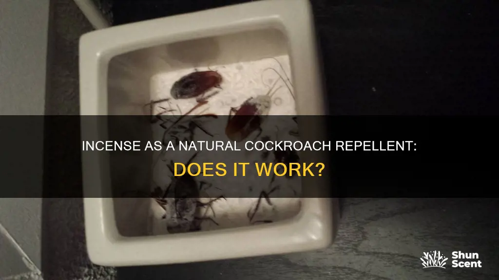 does incense repel cockroaches