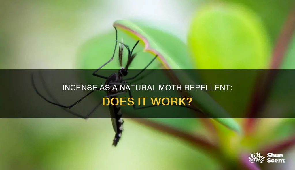 does incense repel moths
